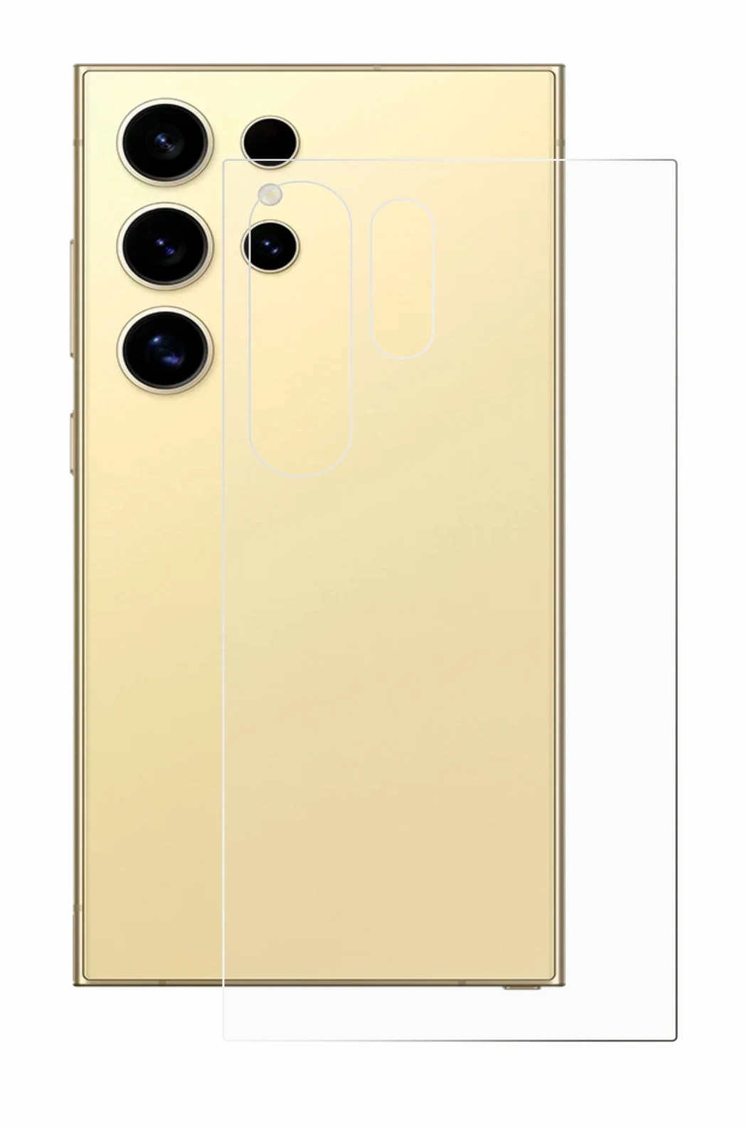 Image of the device Samsung Galaxy S24 Ultra (Back) with a wide variety of screen protectors.