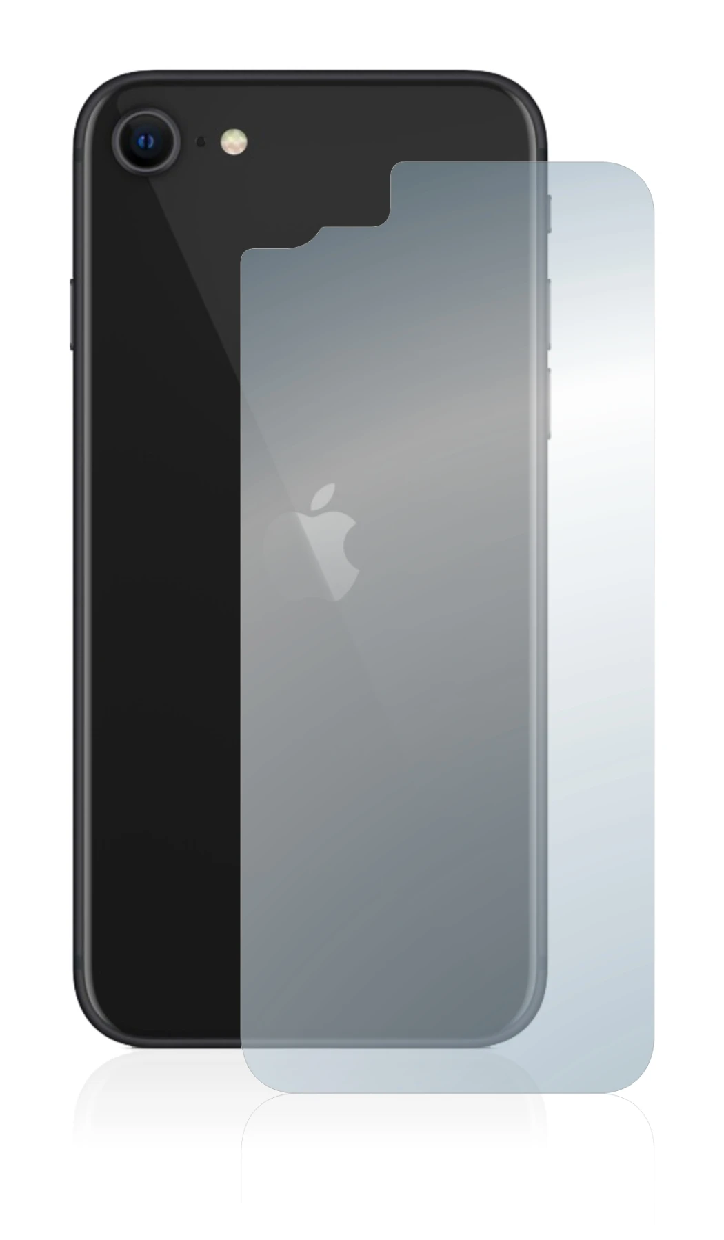 Image of the device Apple iPhone SE 2 2020 (Back) with a wide variety of screen protectors.