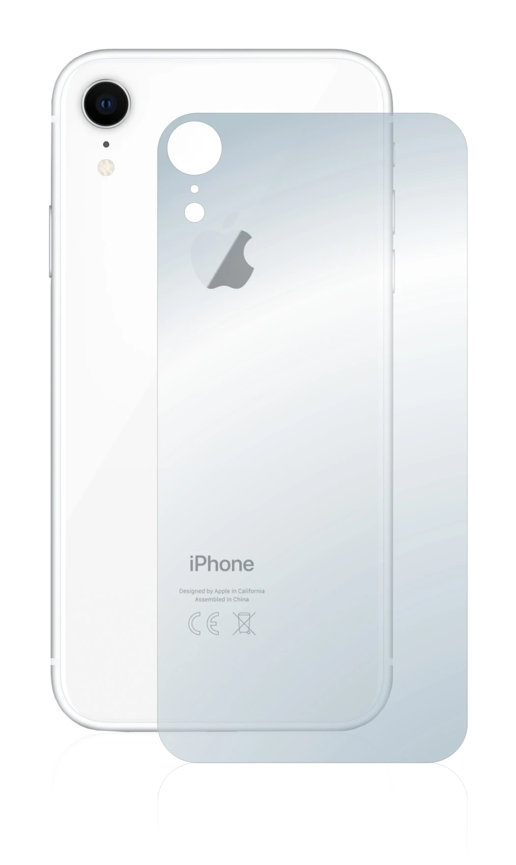 Image of the device Apple iPhone XR (Back) with a wide variety of screen protectors.