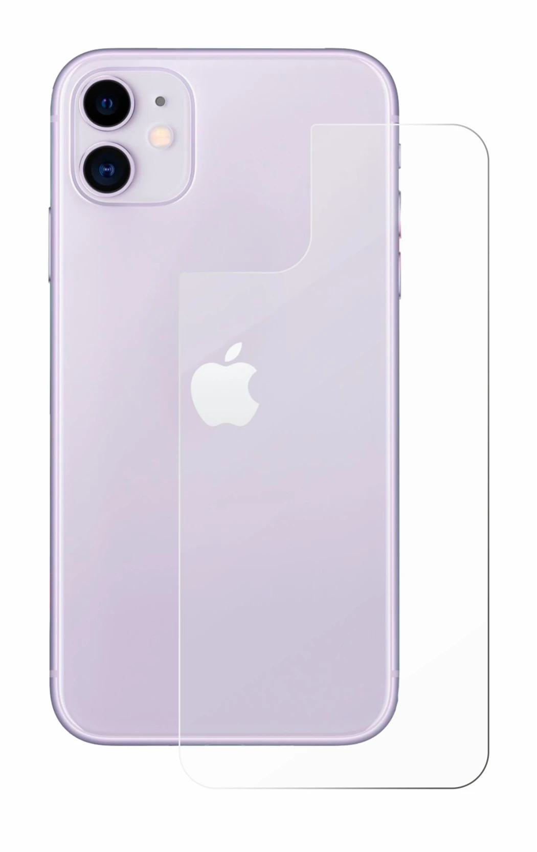 Image of the device Apple iPhone 11 (Back) with a wide variety of screen protectors.