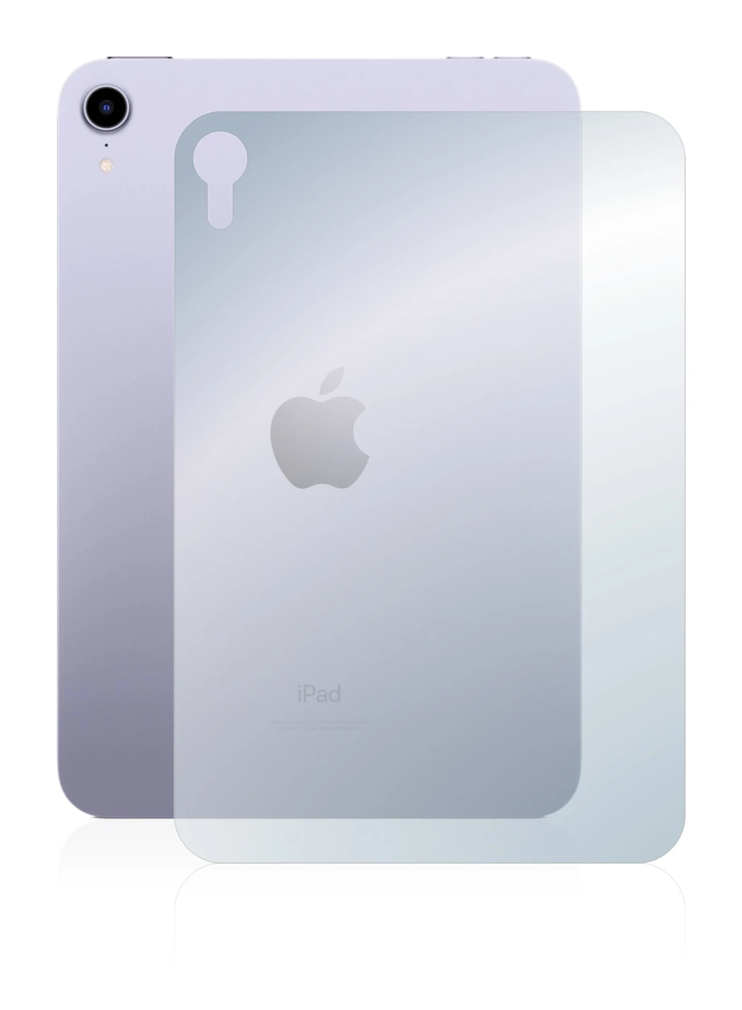Image of the device Apple iPad Mini 6 2021 (6th. Gen., Back) with a wide variety of screen protectors.