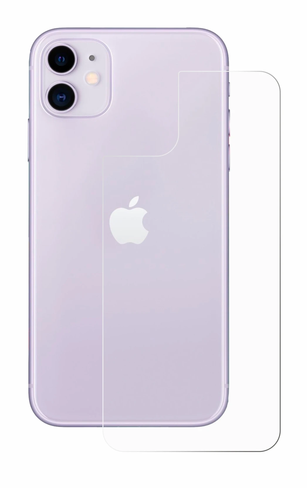 Image of the device Apple iPhone 11 (Back) with a wide variety of screen protectors.