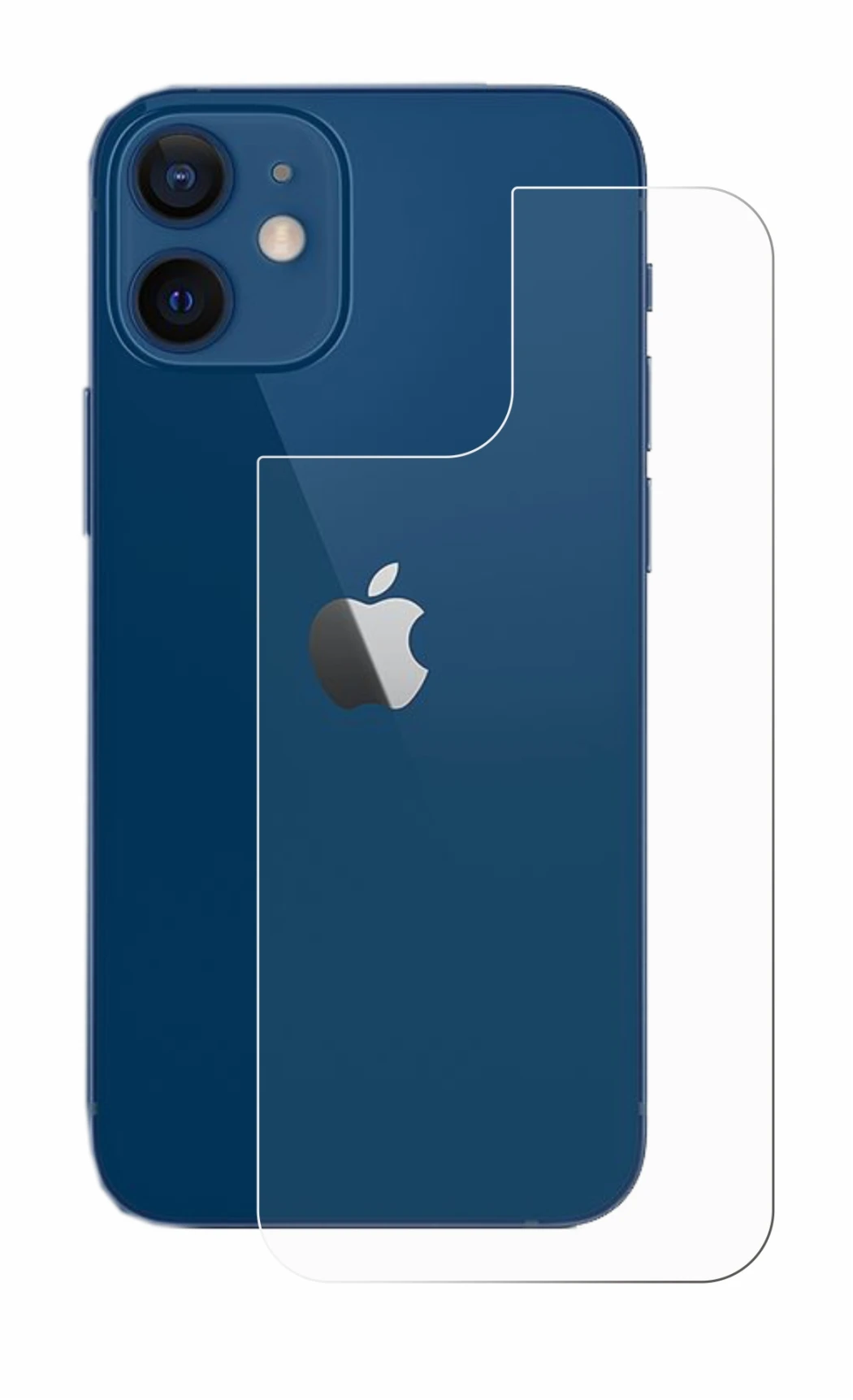 Image of the device Apple iPhone 12 (Back) with a wide variety of screen protectors.