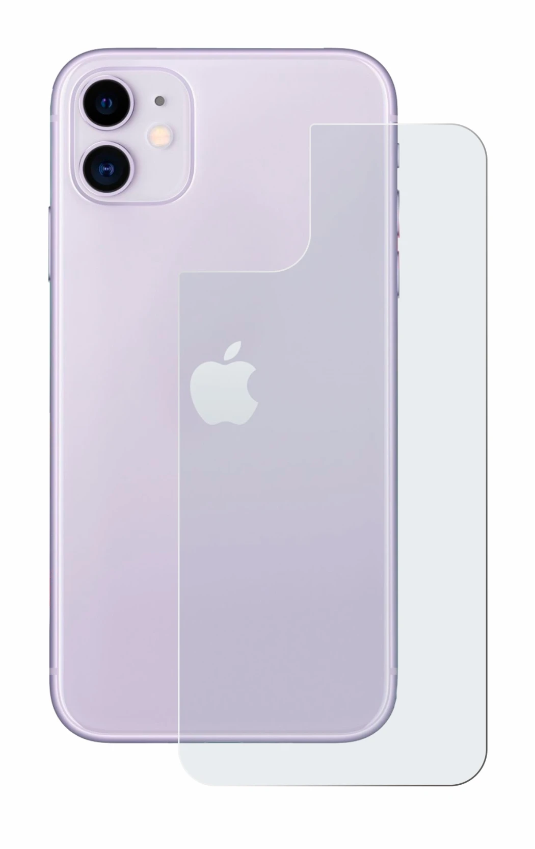 Image of the device Apple iPhone 11 (Back) with a wide variety of screen protectors.