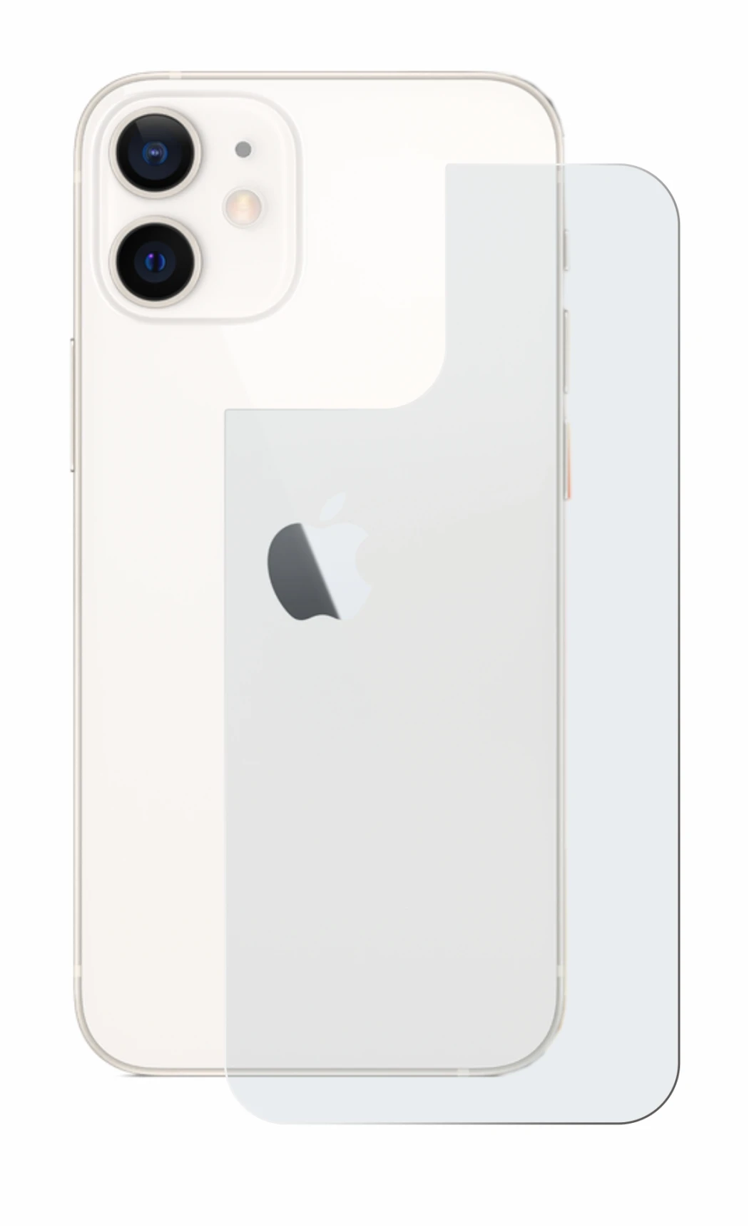 Image of the device Apple iPhone 12 mini (Back) with a wide variety of screen protectors.