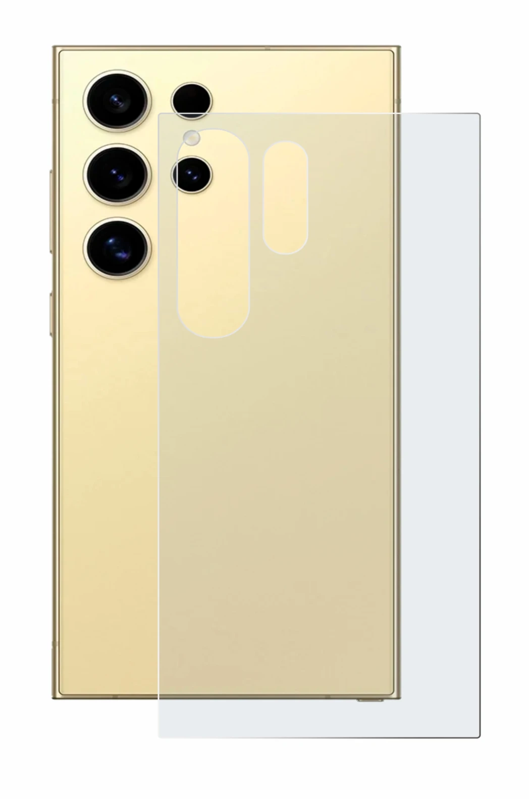 Image of the device Samsung Galaxy S24 Ultra (Back) with a wide variety of screen protectors.