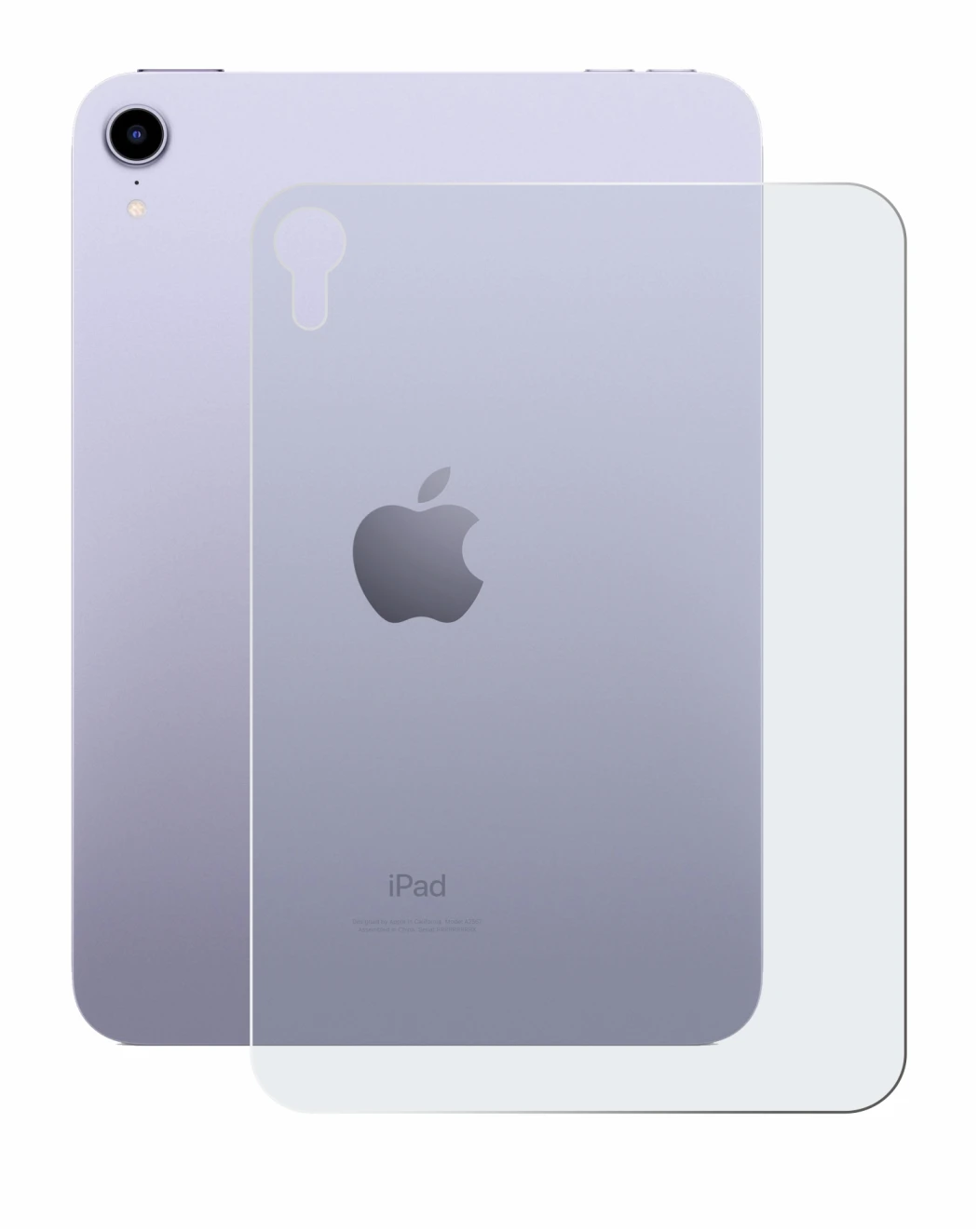Image of the device Apple iPad Mini 7 2024 (Back) with a wide variety of screen protectors.