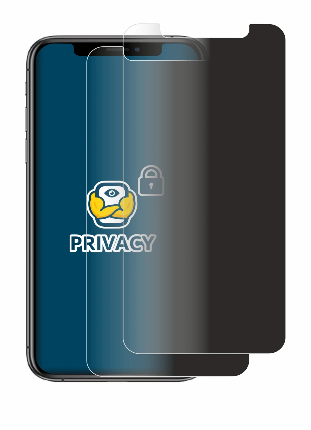 Image of the device Apple iPhone Xs with a wide variety of screen protectors.