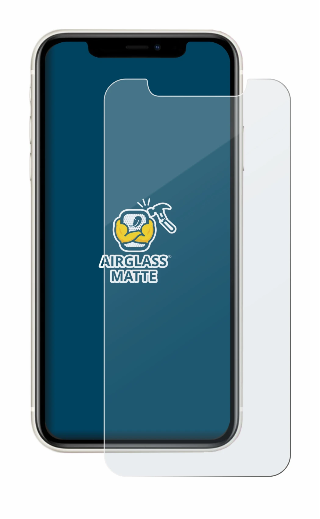 Image of the device Apple iPhone 11 with a wide variety of screen protectors.