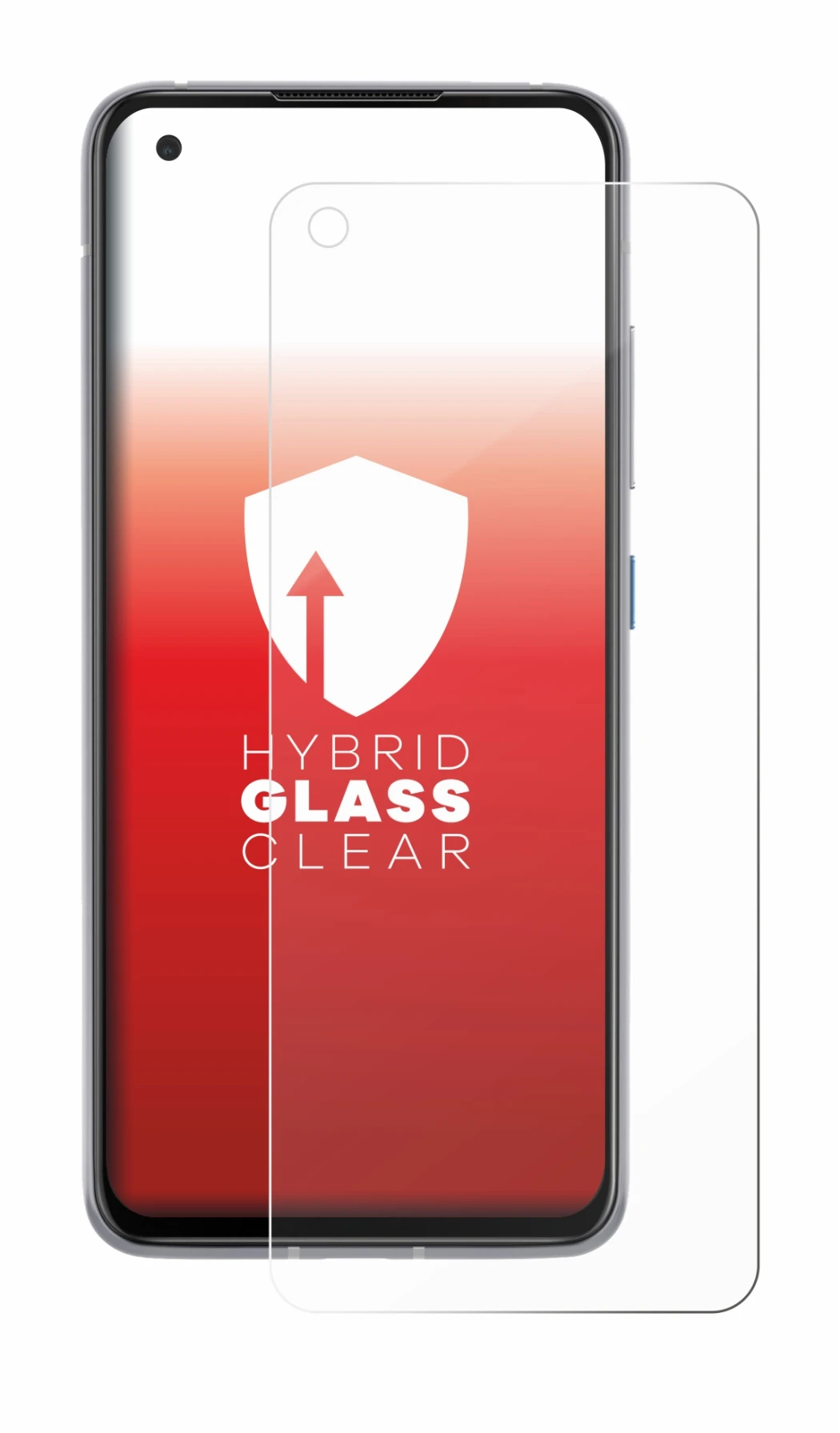 Image of the device ASUS ZenFone 8 with a wide variety of screen protectors.