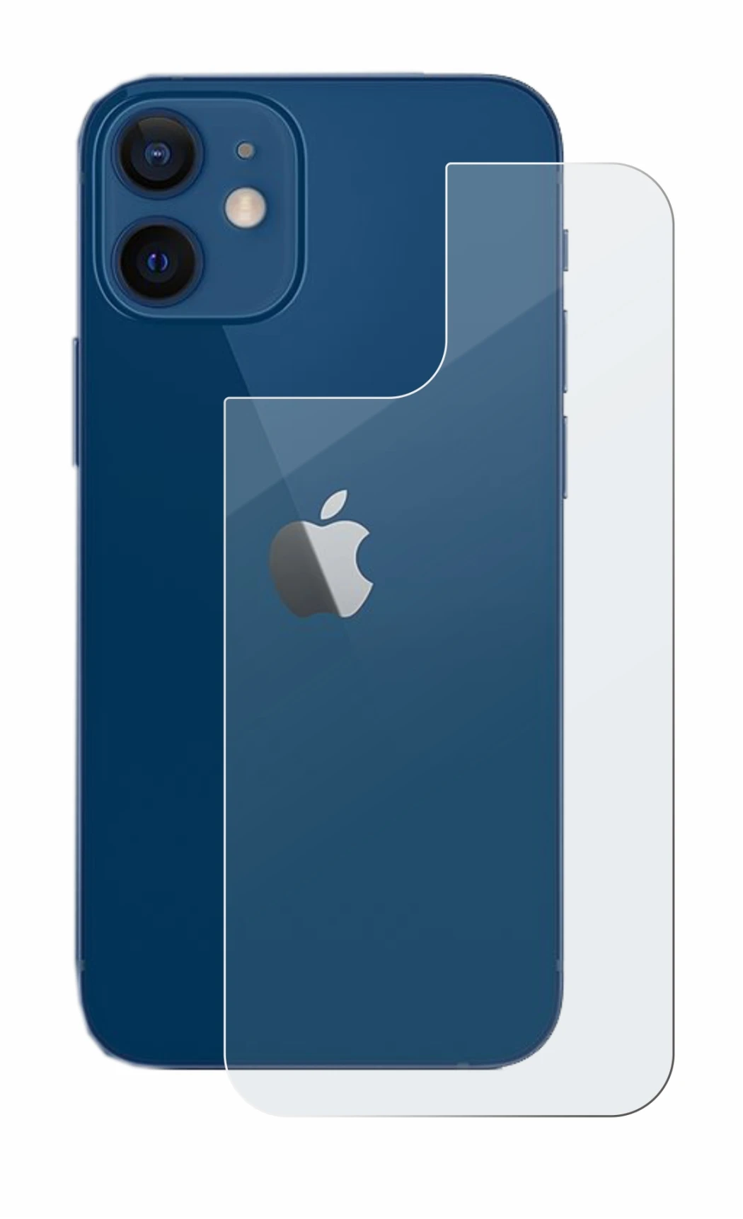 Image of the device Apple iPhone 12 (Back) with a wide variety of screen protectors.