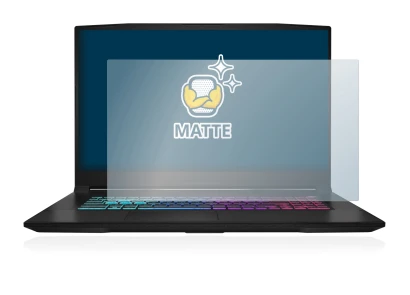 Image of the device MSI Katana 17 B13V with a wide variety of screen protectors.