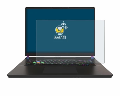 Image of the device MSI Vector 17 HX with a wide variety of screen protectors.