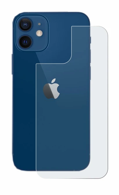 Image of the device Apple iPhone 12 (Back) with a wide variety of screen protectors.