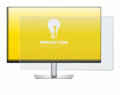 Image of the device Dell Professional P2425H with a wide variety of screen protectors.