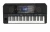 Image of the device Yamaha PSR-SX920 with a wide variety of screen protectors.