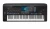 Image of the device Yamaha Genos2 with a wide variety of screen protectors.