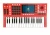 Image of the device Akai Professional MPC Key 37 with a wide variety of screen protectors.