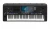 Image of the device Yamaha Genos with a wide variety of screen protectors.