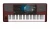 Image of the device KORG Pa700 with a wide variety of screen protectors.