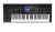 Image of the device KORG Kronos 3 (2025) 61 with a wide variety of screen protectors.