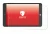 Image of the device SZTPS Tablet 8" with a wide variety of screen protectors.