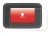 Image of the device Honda Forza 750 2025 with a wide variety of screen protectors.