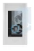 Image of the device Ring Video Doorbell Elite with a wide variety of screen protectors.