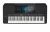 Image of the device Yamaha PSR-SX720 with a wide variety of screen protectors.