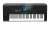 Image of the device KORG Nautilus 61 with a wide variety of screen protectors.