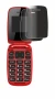 Image of the device Chakeyake R341 with a wide variety of screen protectors.