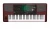 Image of the device KORG Pa700 with a wide variety of screen protectors.